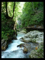 /album/slovinsko-2013/p1071028-souteska-vintgar-jpg/